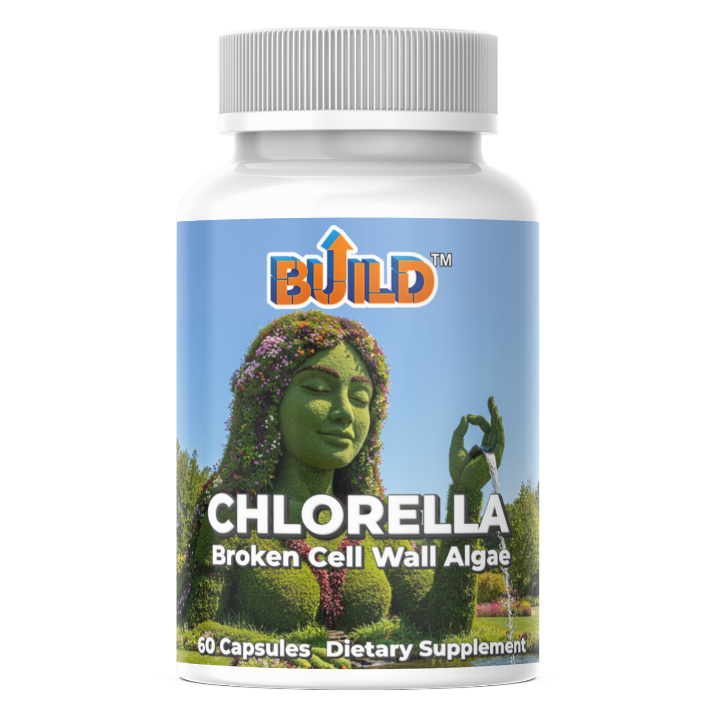 Chlorella