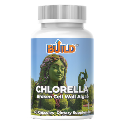 Chlorella