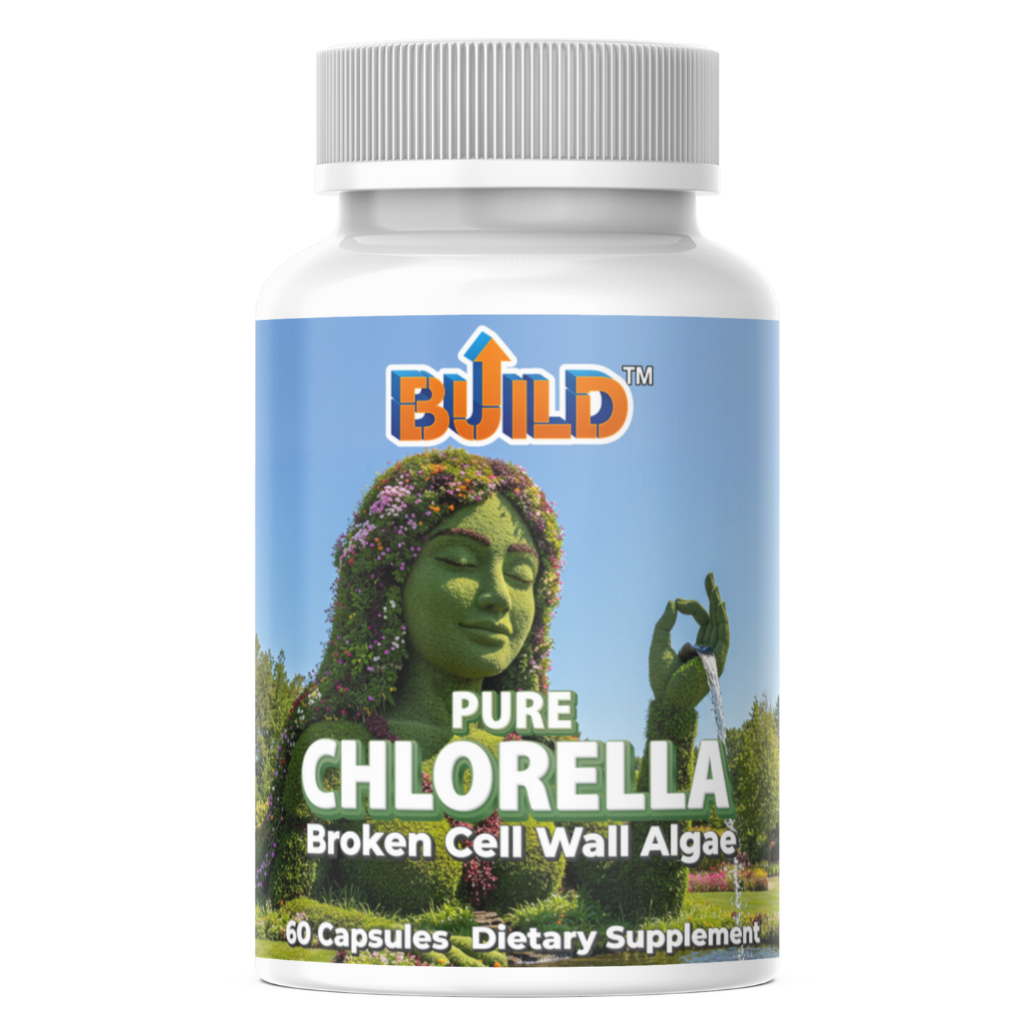 Chlorella