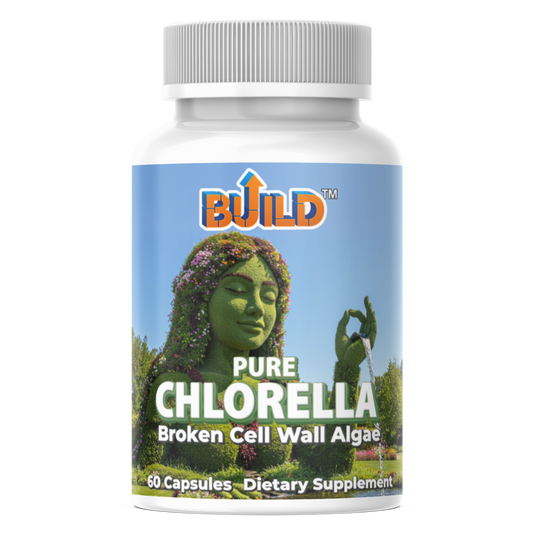 Chlorella