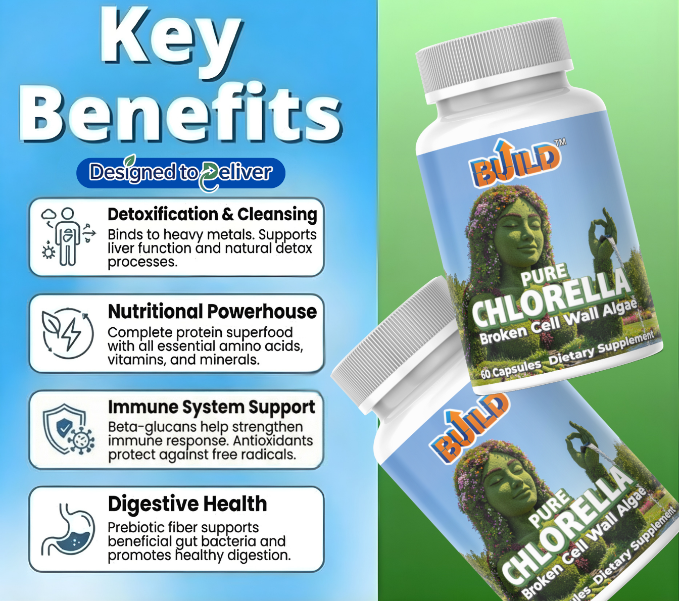Chlorella